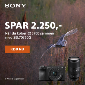 SONY Wildlife Bundle