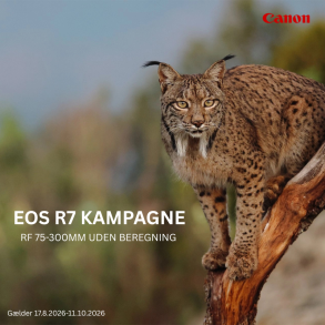 CANON EOS R7 + RF 75-300mm