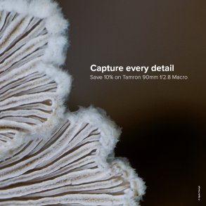 TAMRON 90mm Macro
