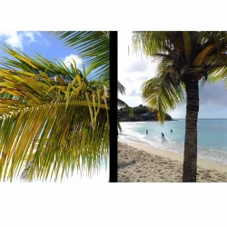 Fujifilm X-Half Silver