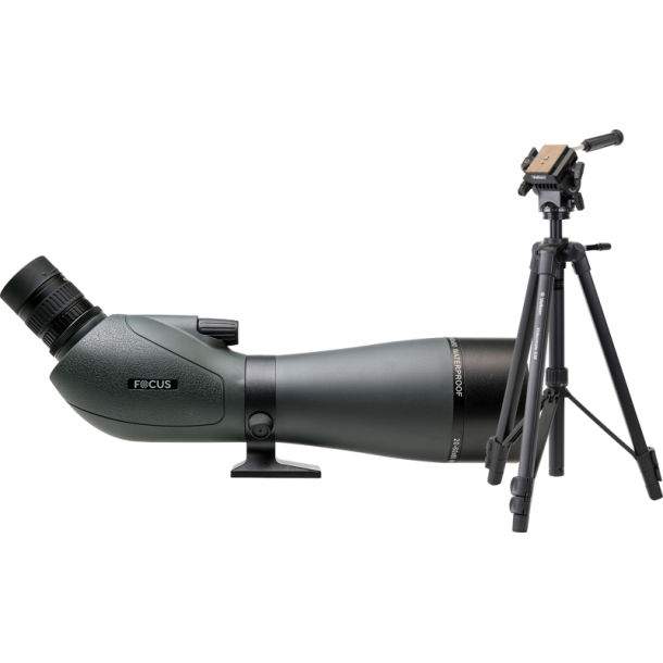  Focus Viewmaster 20-60x80 Med Velbon VM638
