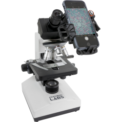 Celestron Nex YZ 3 mobil adapter