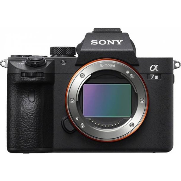 Sony Alpha A7 III Hus