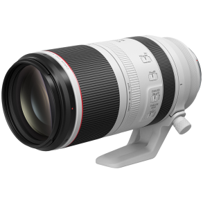 Canon RF 100-500mm F4,5-7,1 L IS USM (Spar 3600,-)